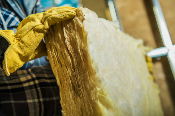 Best Geographic-Specific Insulation Services in Shaw, MS