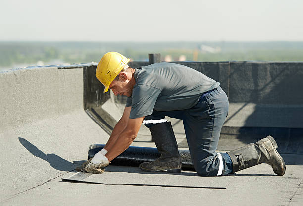 Best Spray Foam Insulation in Shaw, MS