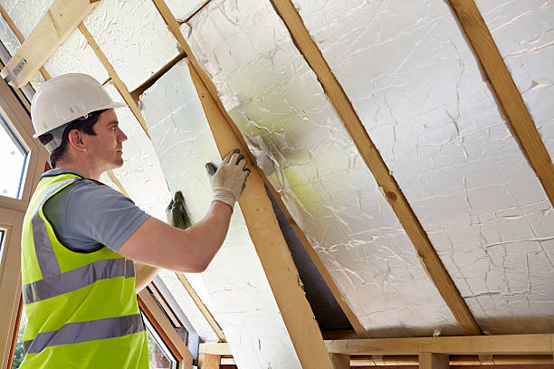 Types of Insulation We Offer in Shaw, MS