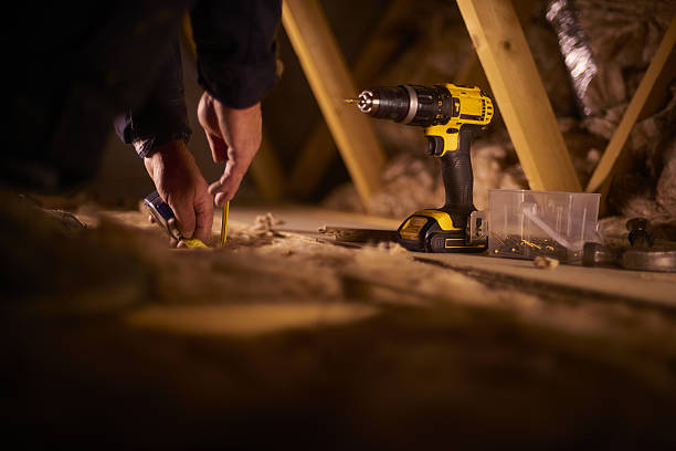 Best Insulation Maintenance and Repair in Shaw, MS