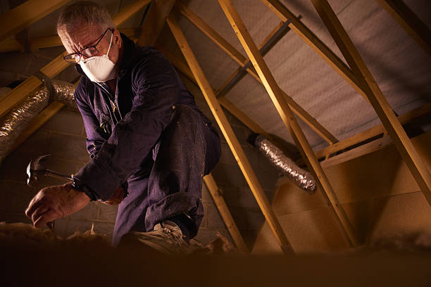 Best Specialized Insulation Services in Shaw, MS